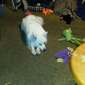 Meet your Posher, James